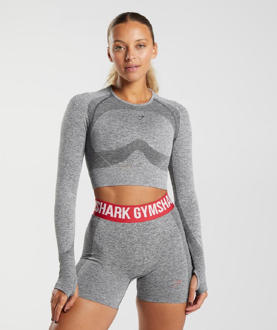 Long Sleeve Damskie Gymshark Flex Szare | PL 2791LIS